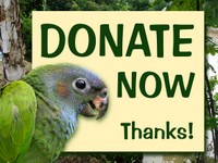 Un don pour sauver la forêt et ses habitants