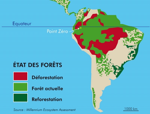 Zero Deforestation Amazonie En Chiffres